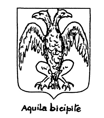 Imagem do termo heráldico: Aquila bicipite